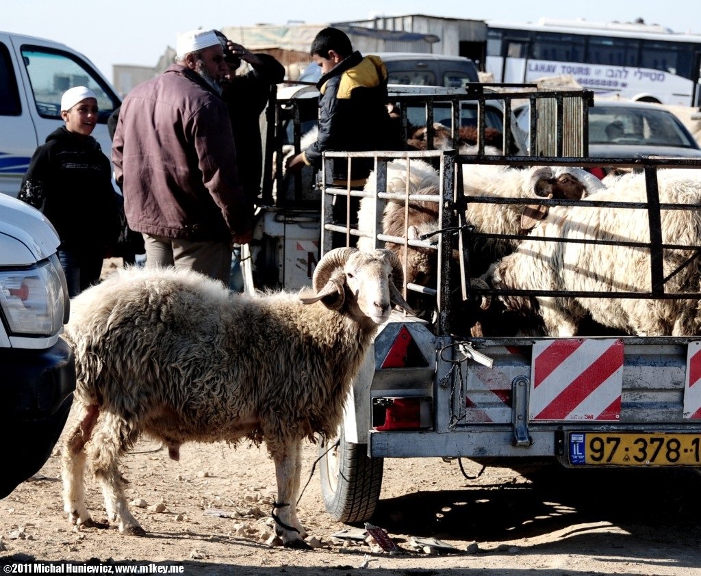 Market - The Bedouin