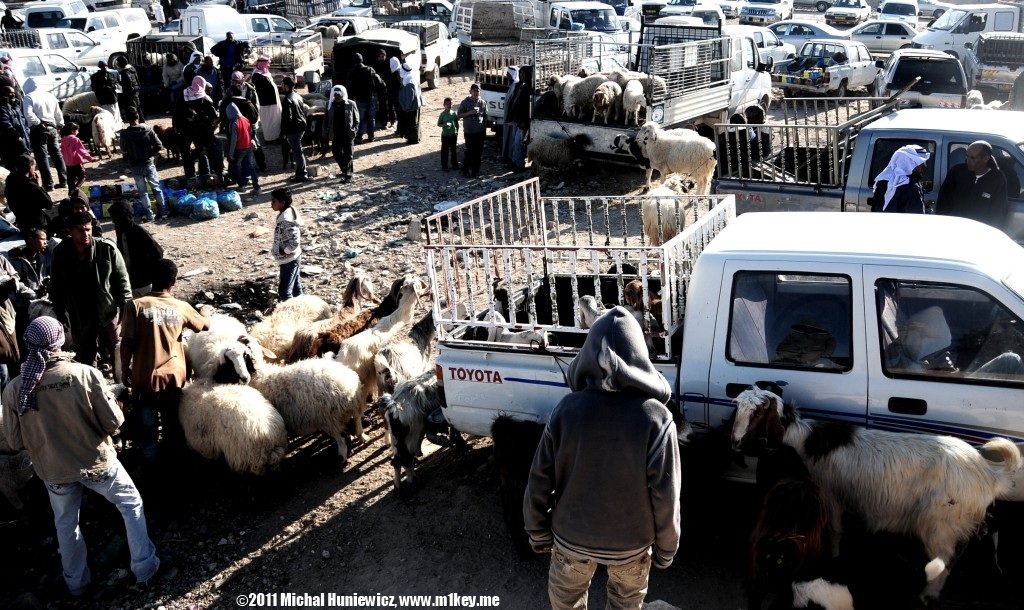 Market - The Bedouin