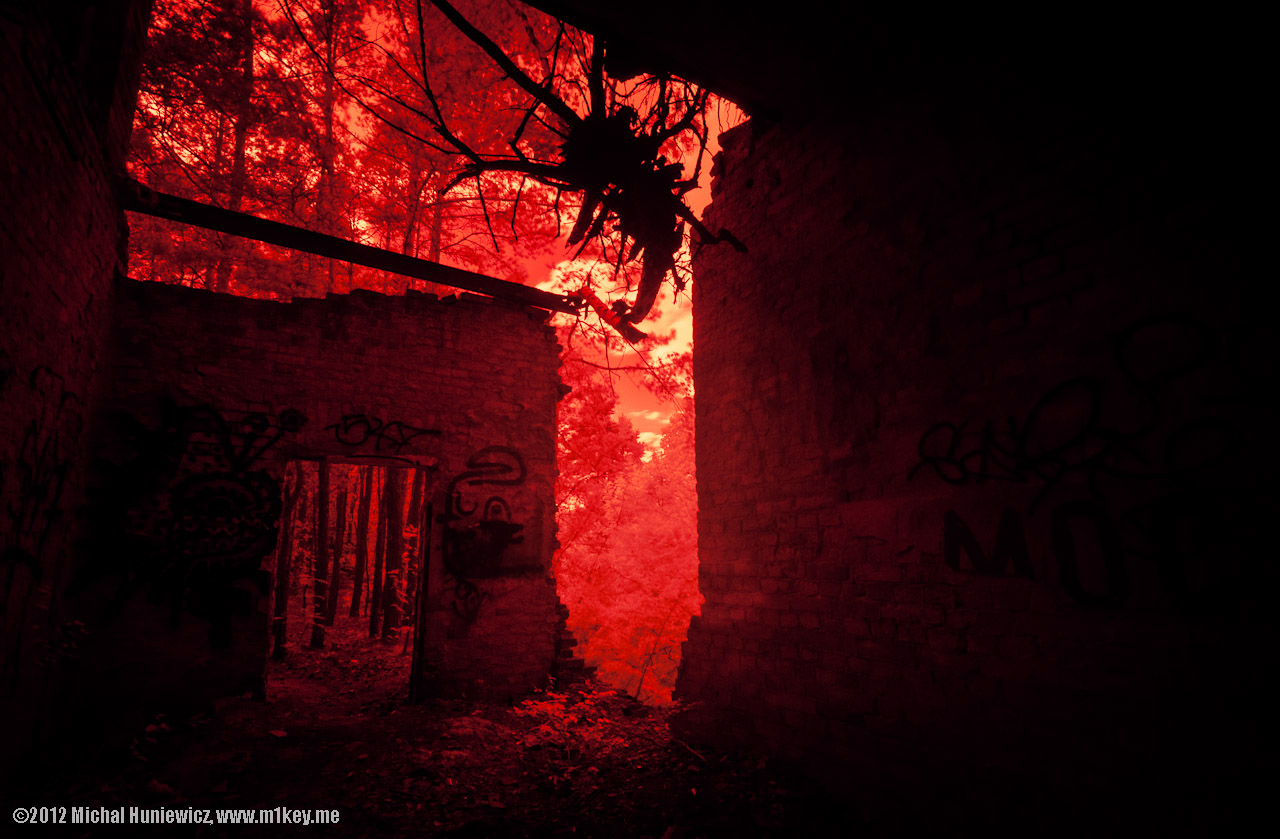 [Infrared] Mutant spider