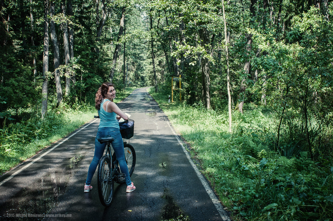 Białowieża Forest