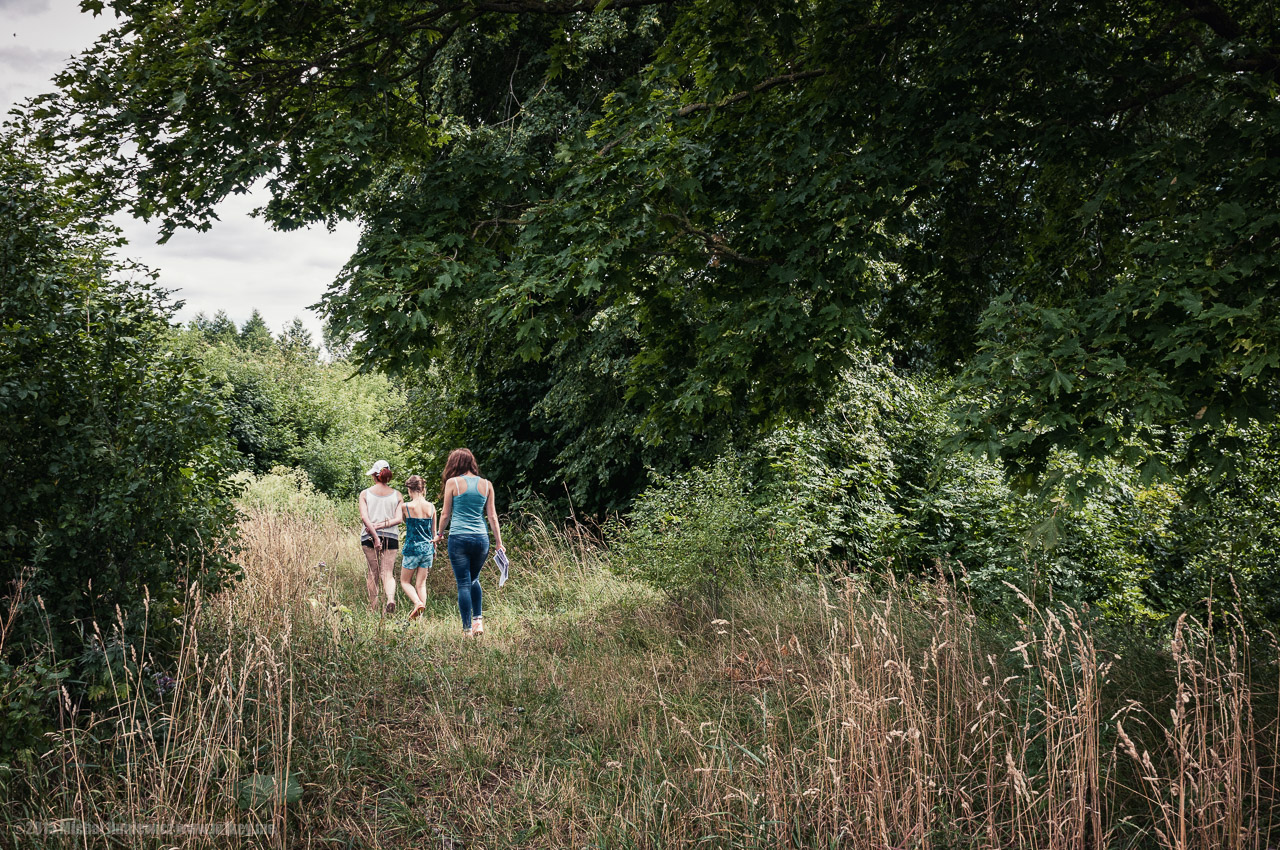 Into the Bushes