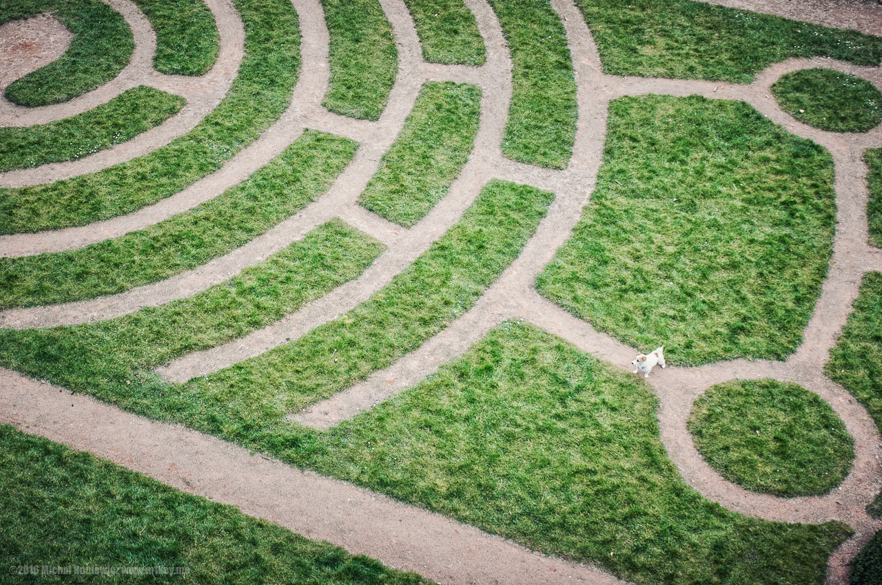 Chartres Labyrinth