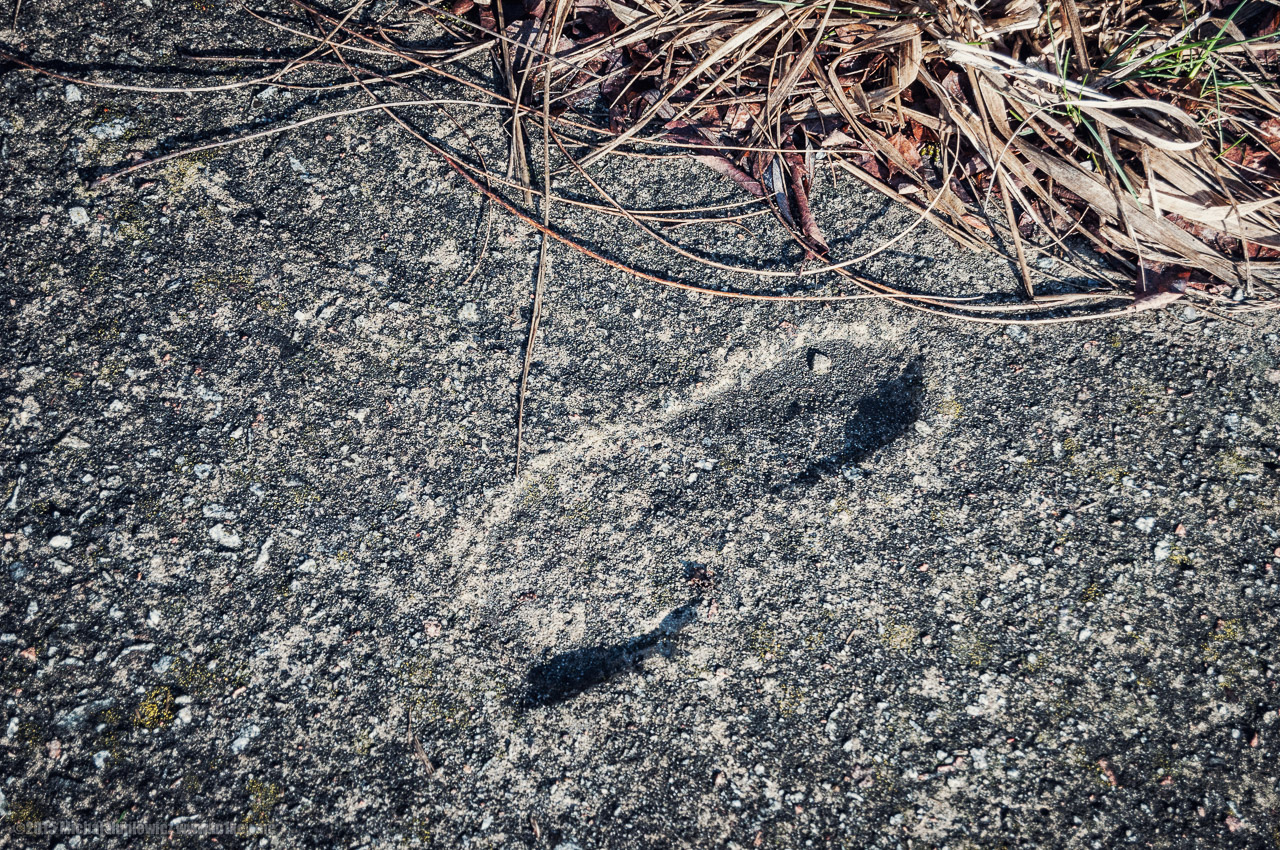 Outside of the Plant