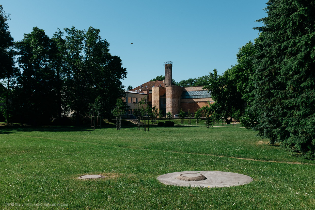 The Path I Used To Take