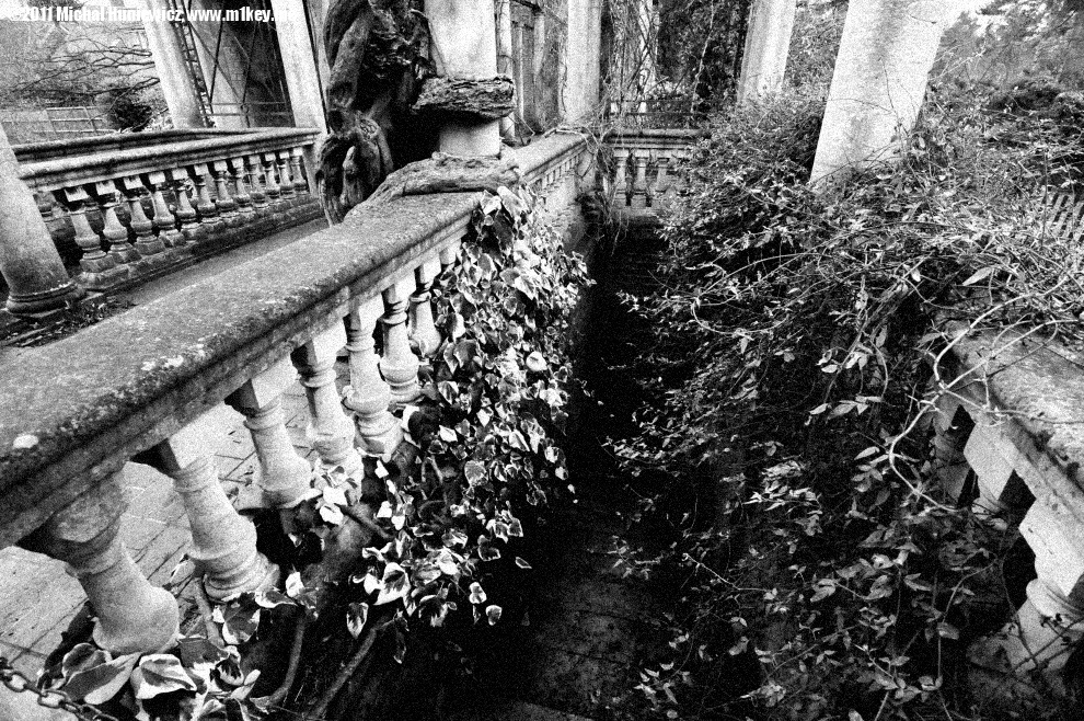 The Pergola and Hill Garden