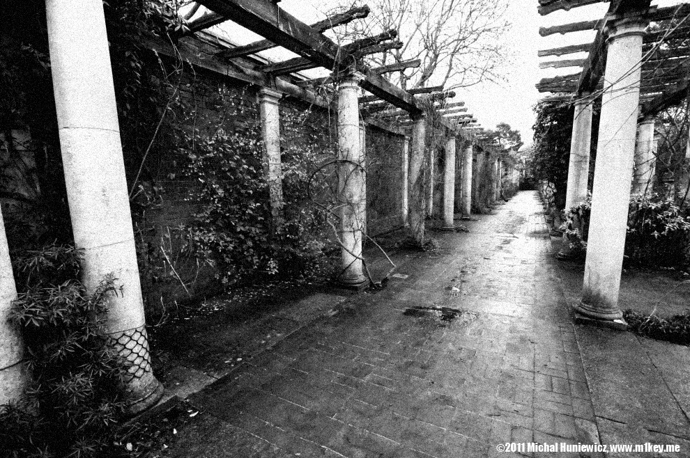The Pergola and Hill Garden