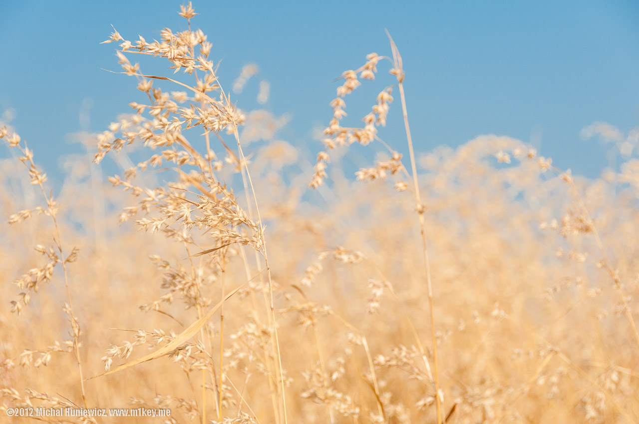 Burning at Both the Ends