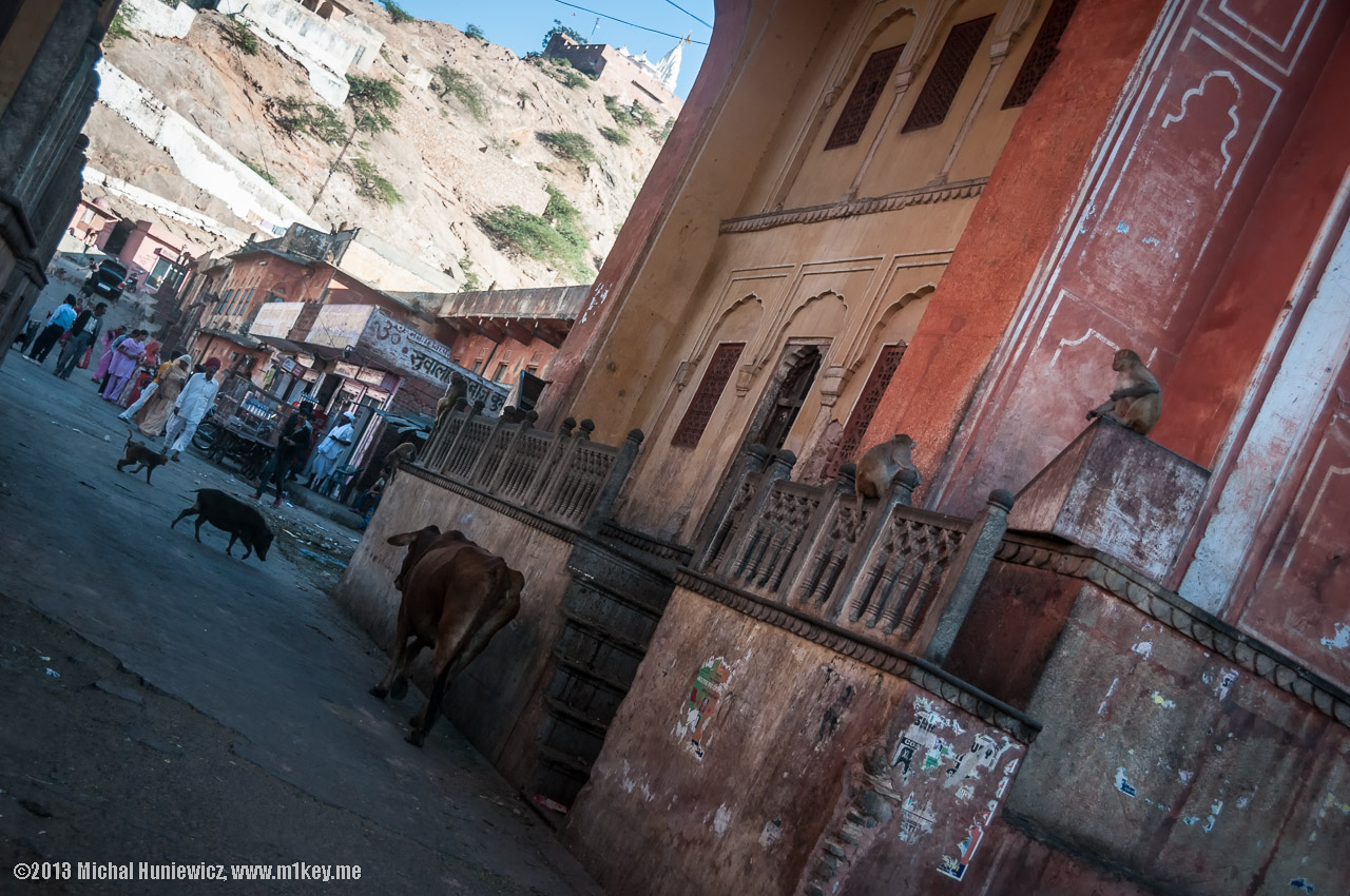 To the Monkey Temple