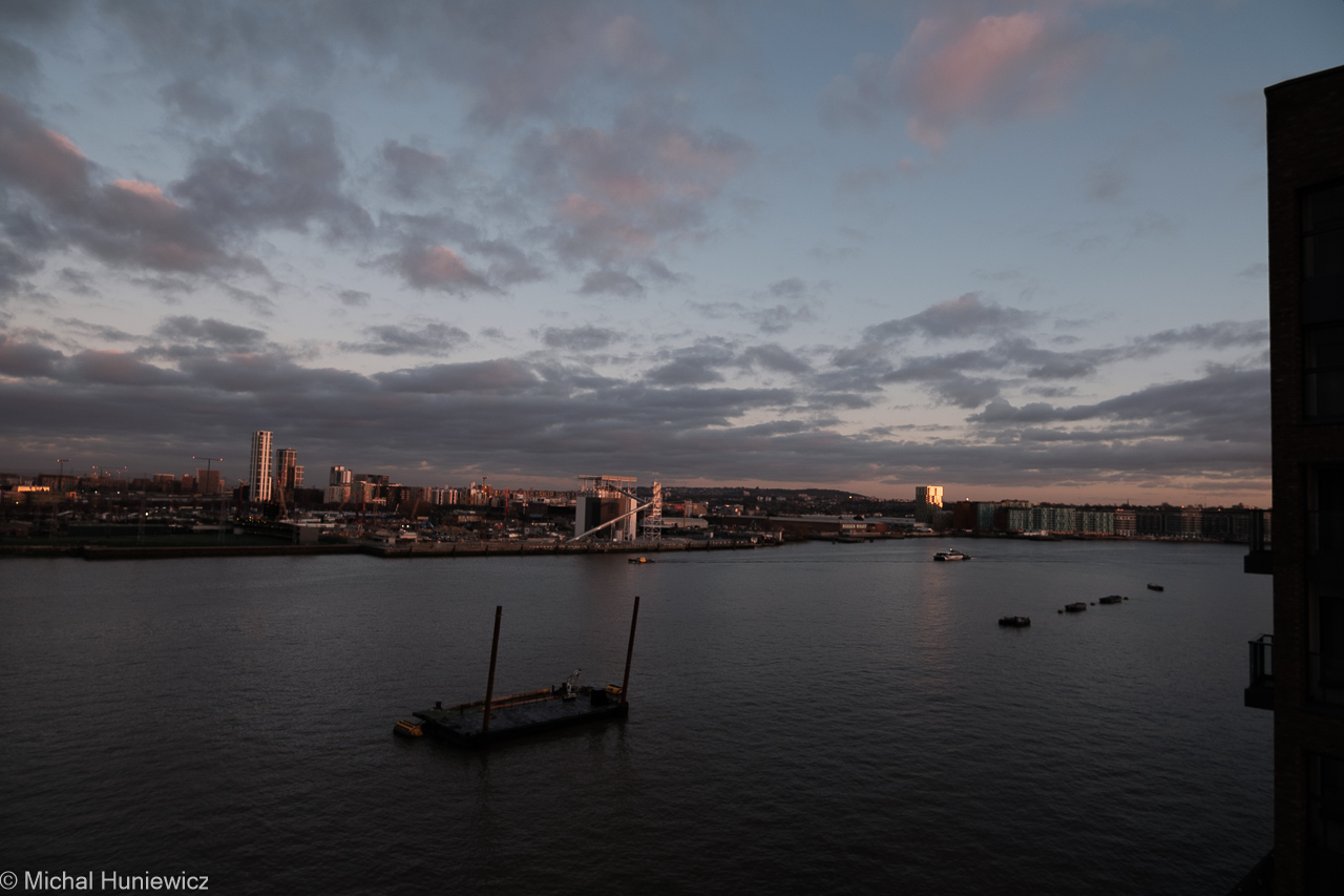 Good Night From the Isle of Dogs