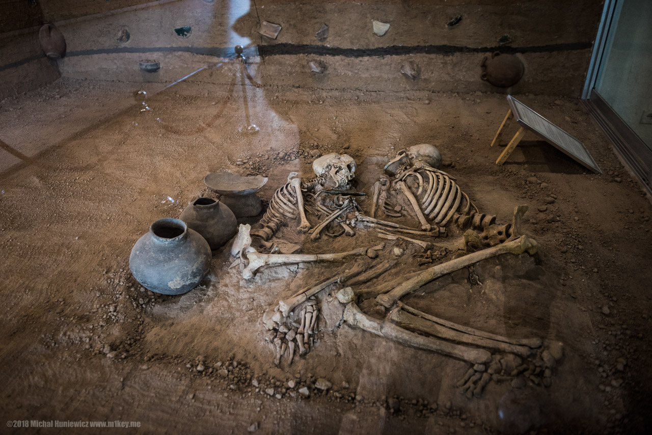 Forever Together (In a Museum)