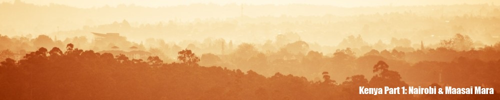 Kenya Part 1: Nairobi & Maasai Mara