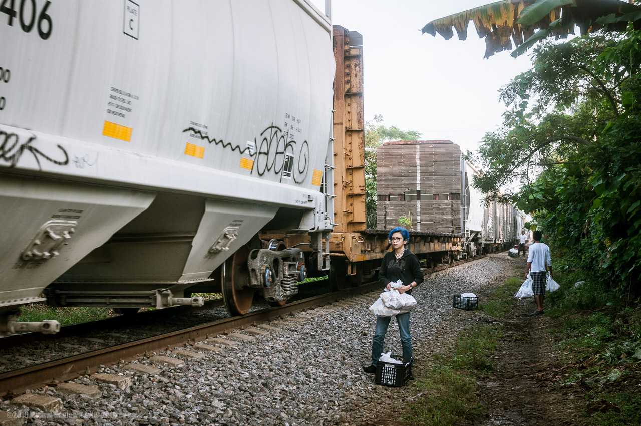 Seems Like No More Migrants