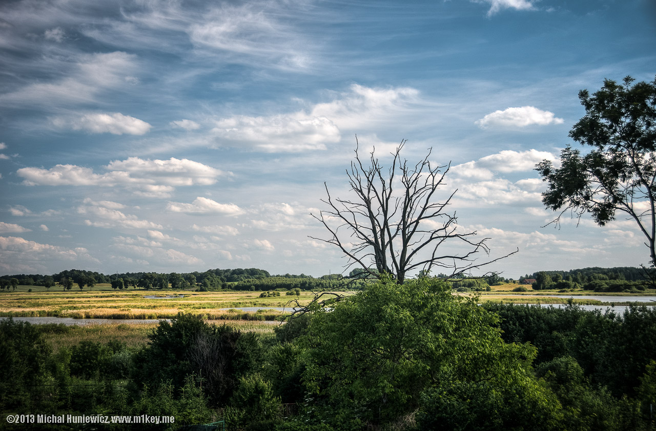 Skies over Morąg Marsh