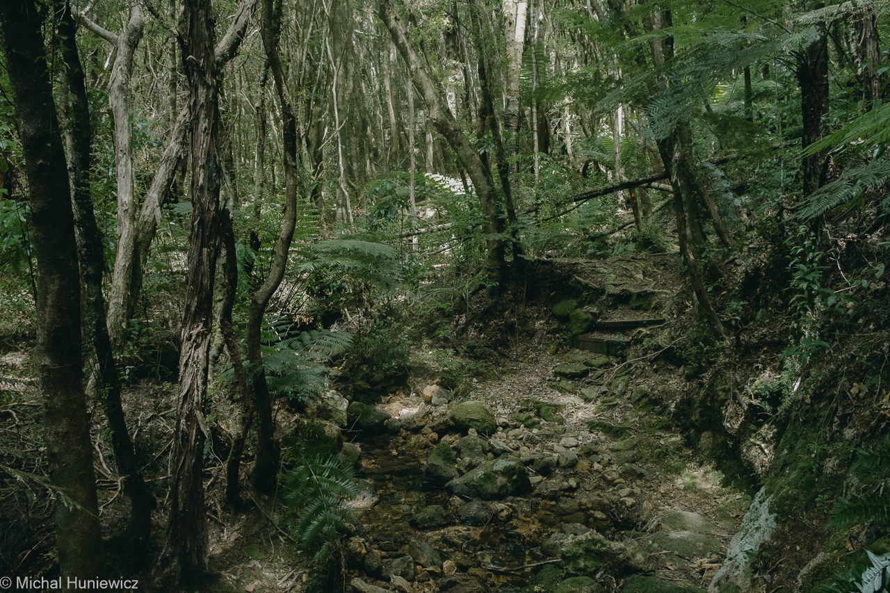 Broken Hills and Puketui Valley