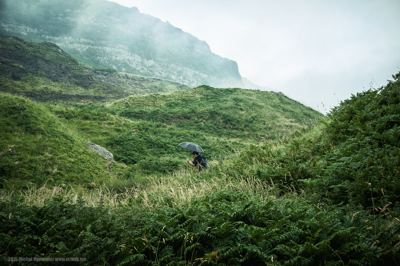 Braving the Jungles of Northern Ireland