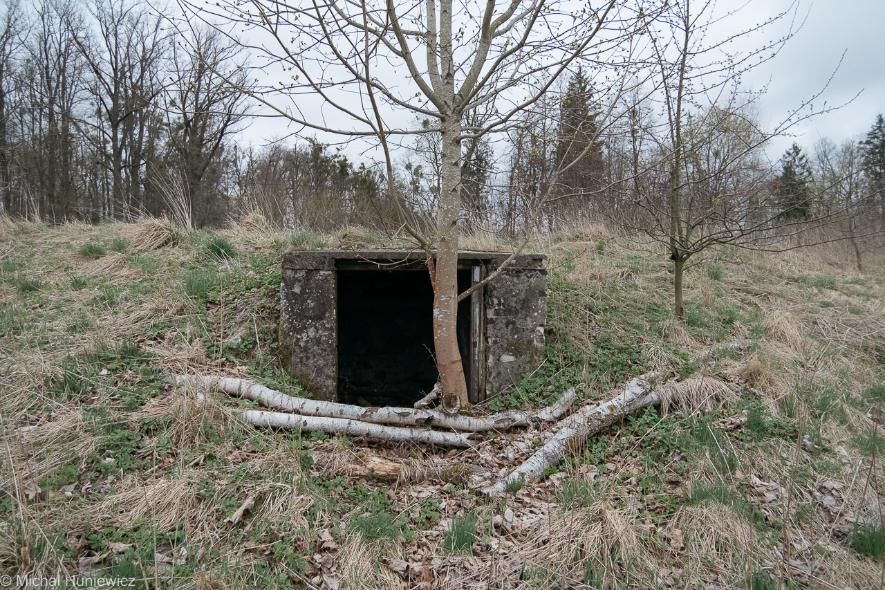 A Twentieth Century Cave Painting