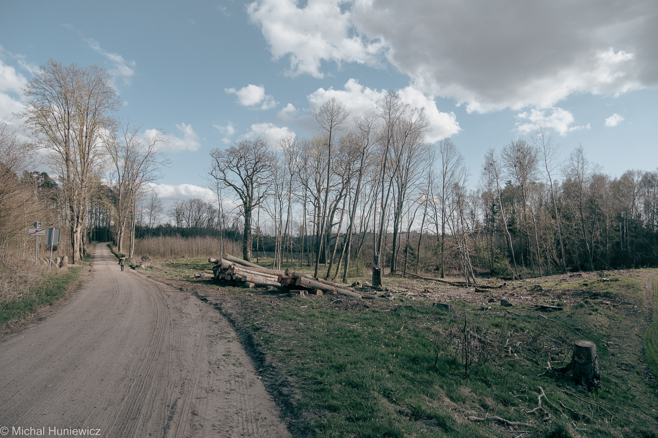 The Road Goes Ever On