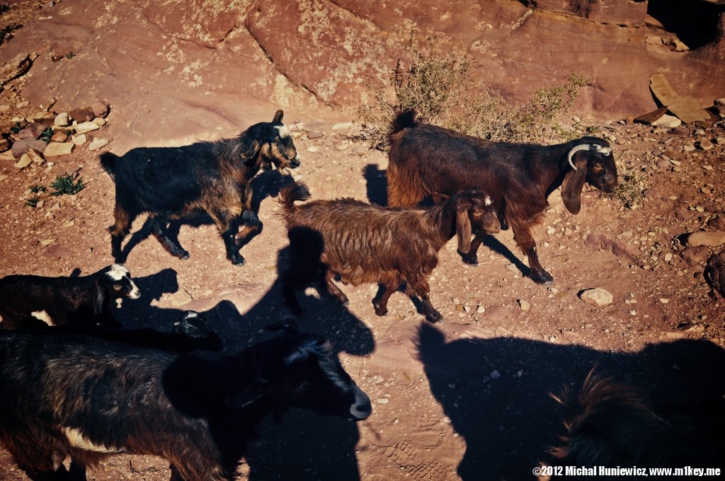 Hello! - Petra: Part 2