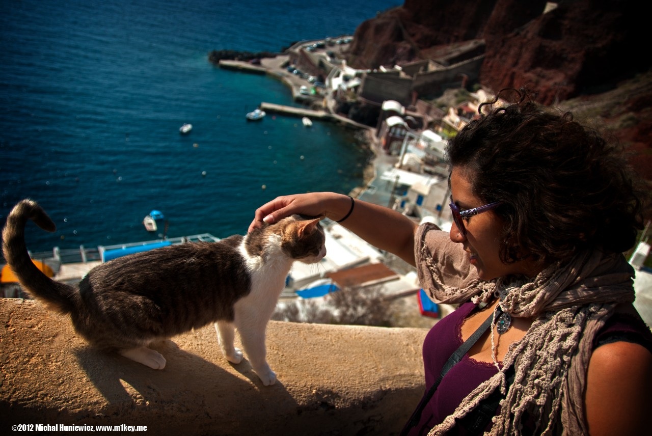 Cat - Postcards From Greece