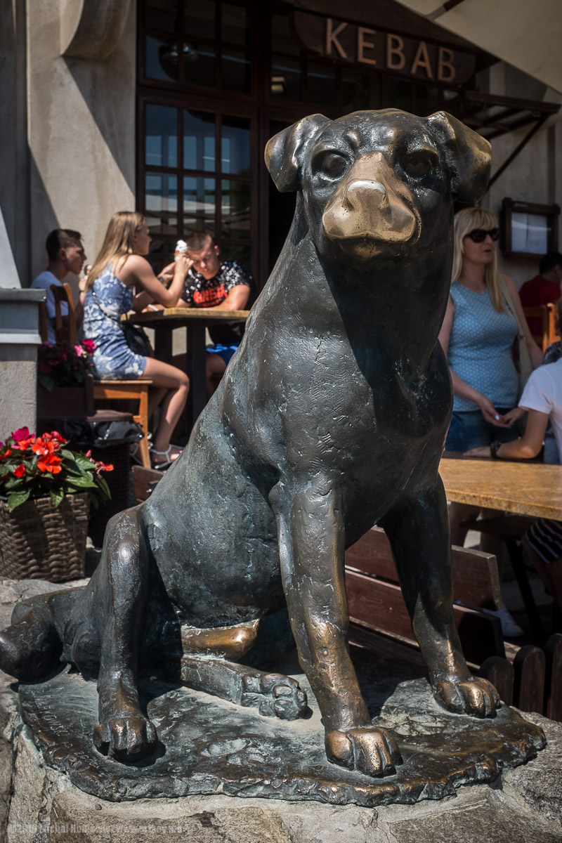 It's Not Just The Nose They Rub