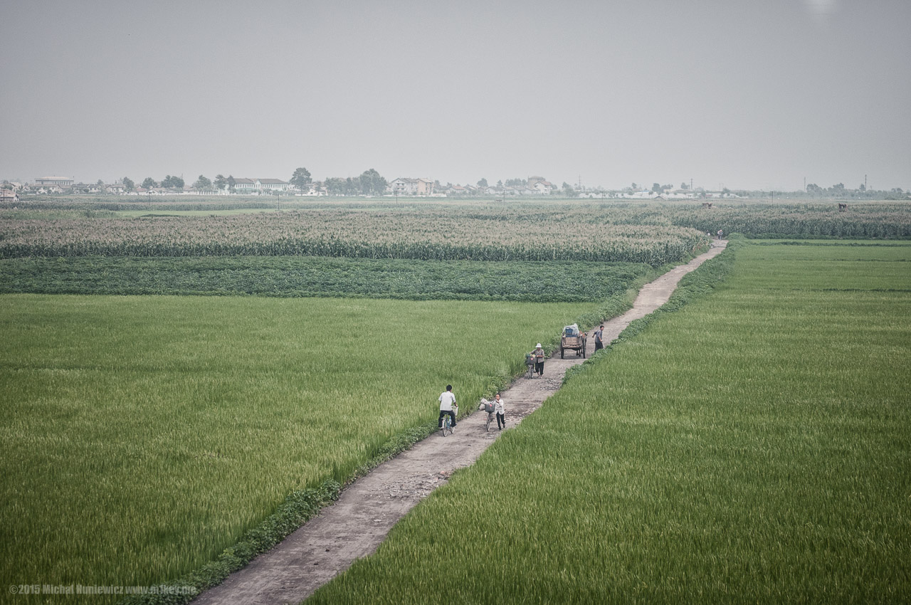 Fields of North Korea