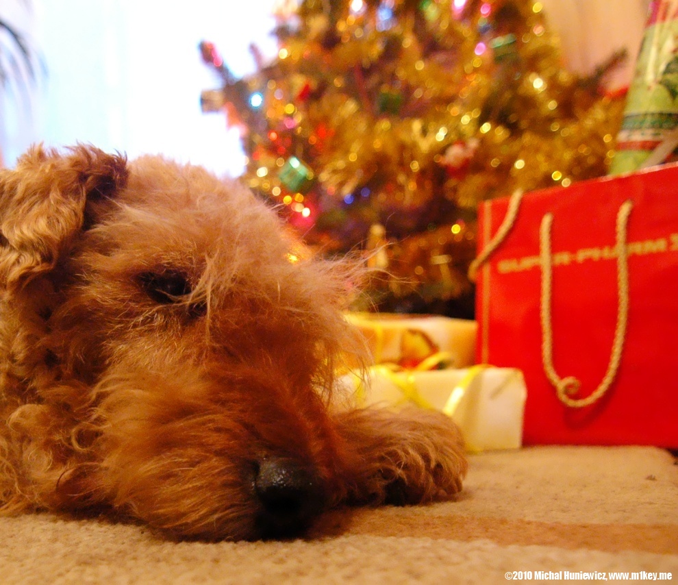 Guarding her gifts - Sega