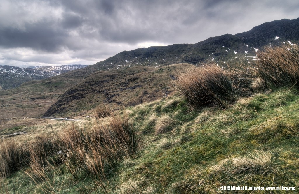 Soft rush - Snowdonia