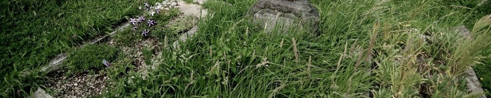 London Cemeteries: Saint Mary and Christ Church Graveyard