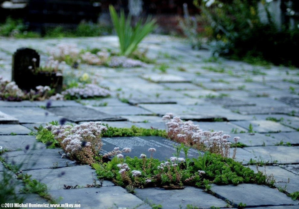 St Mary and Christ Graveyard