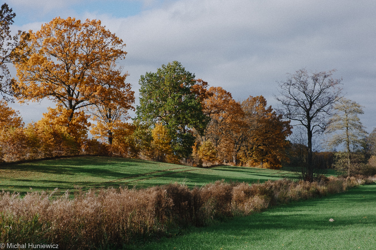 Kiełkuty Fields