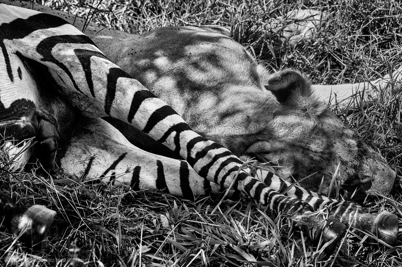 Sleeping with the enemy