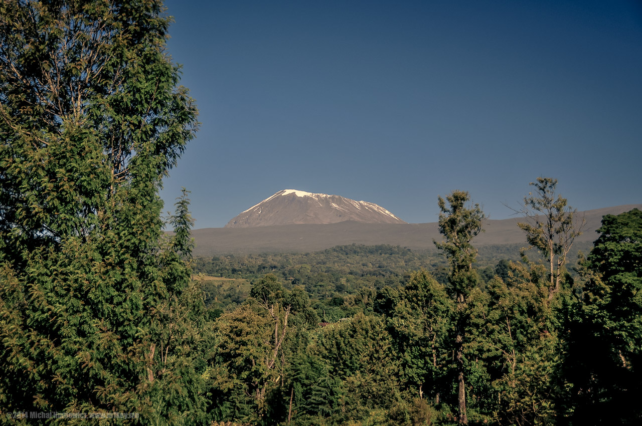 Kilimanjaro