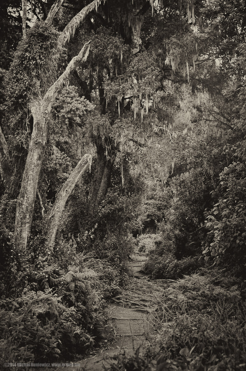 The path - alternative