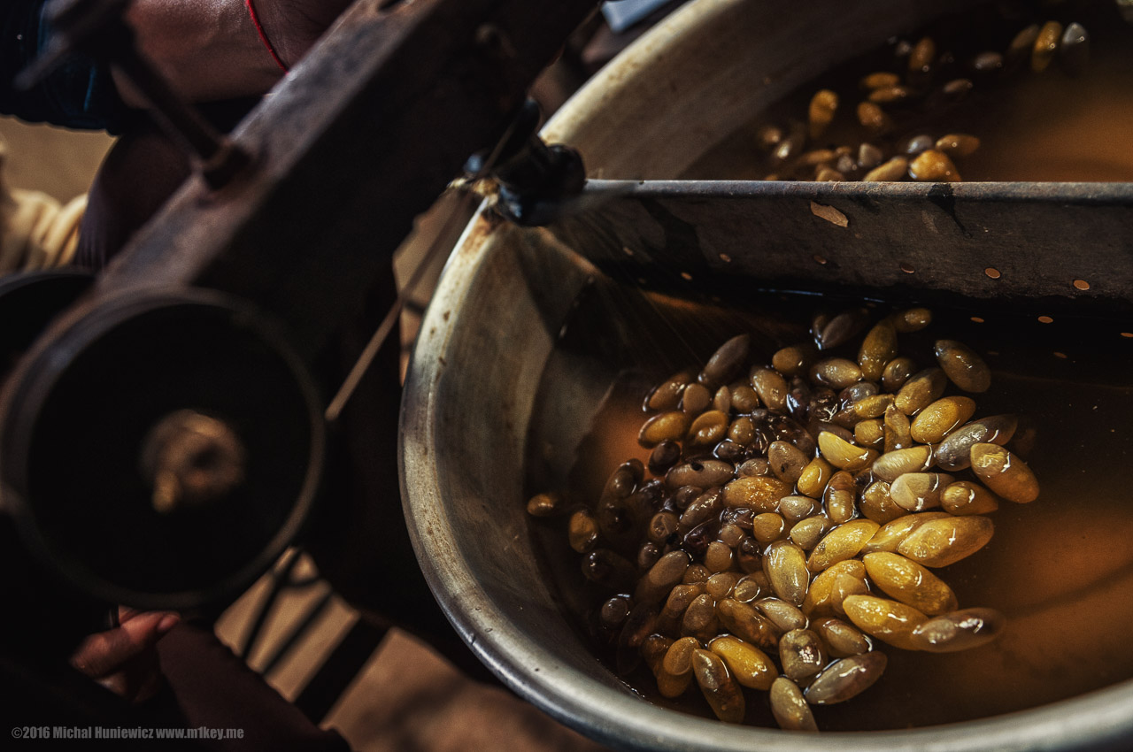 This Is How Silk Is Made