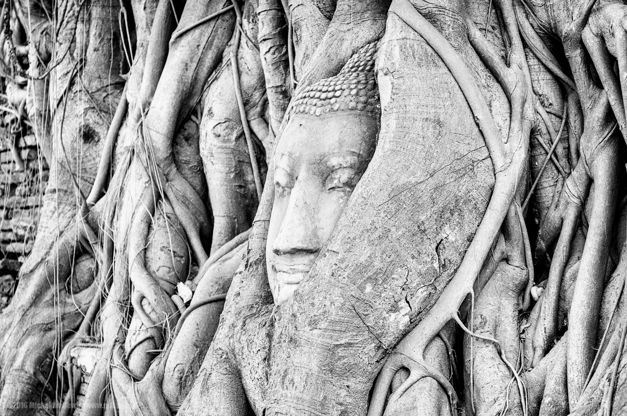 Face of Buddha