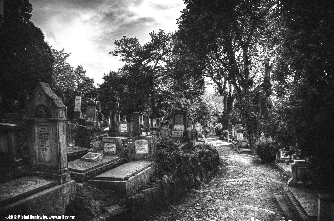 Lutheran cemetery - Transylvania