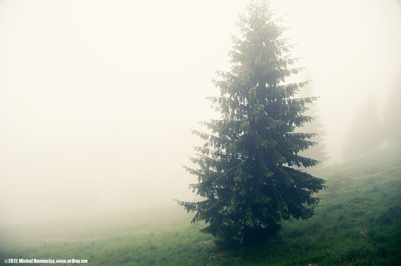 From 1400m - Transylvania