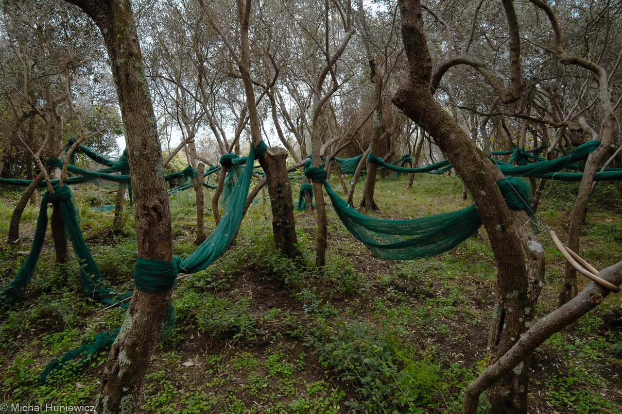 On Our Way to Vernazza