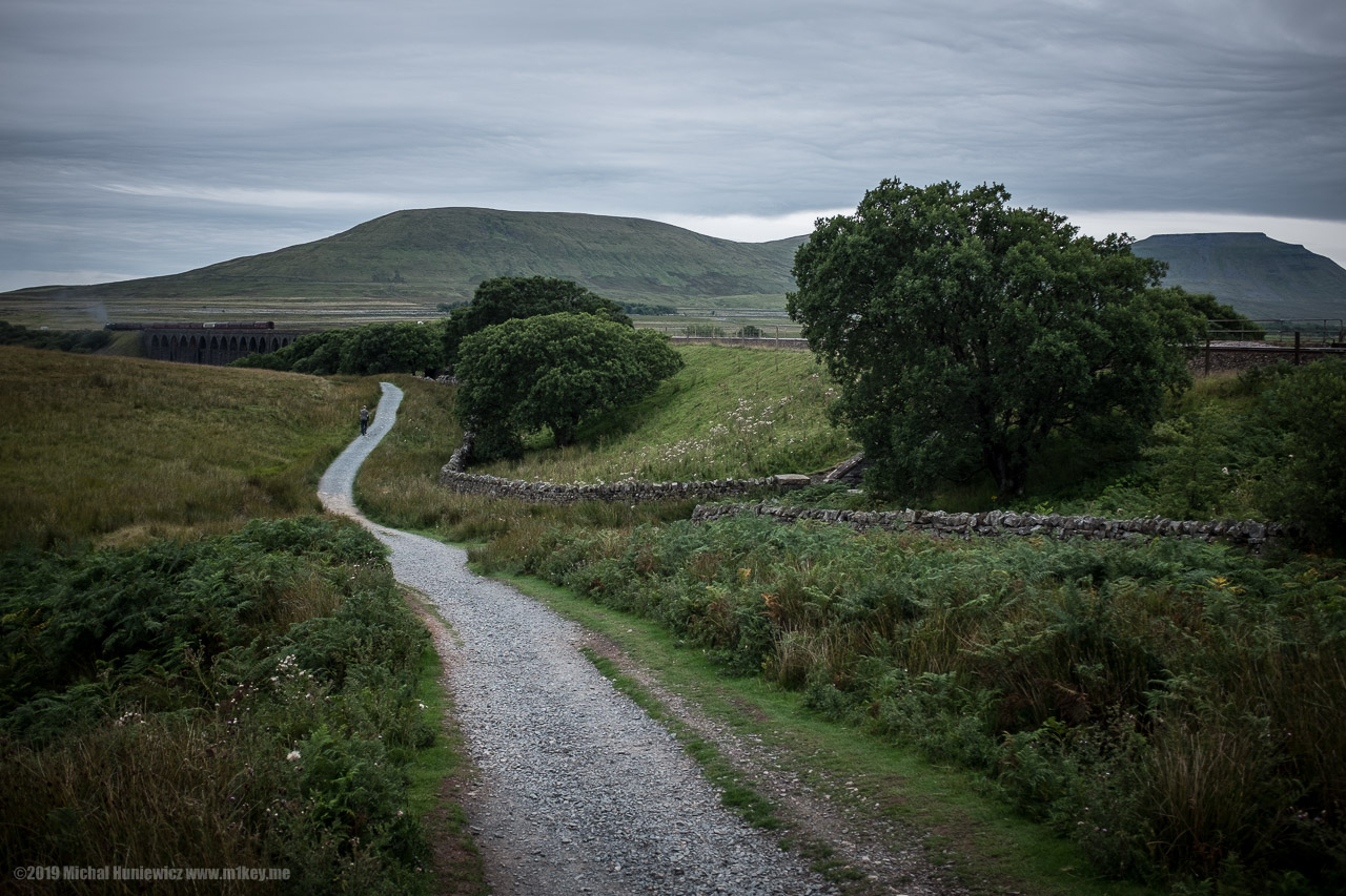 Ribblehead Viaduct