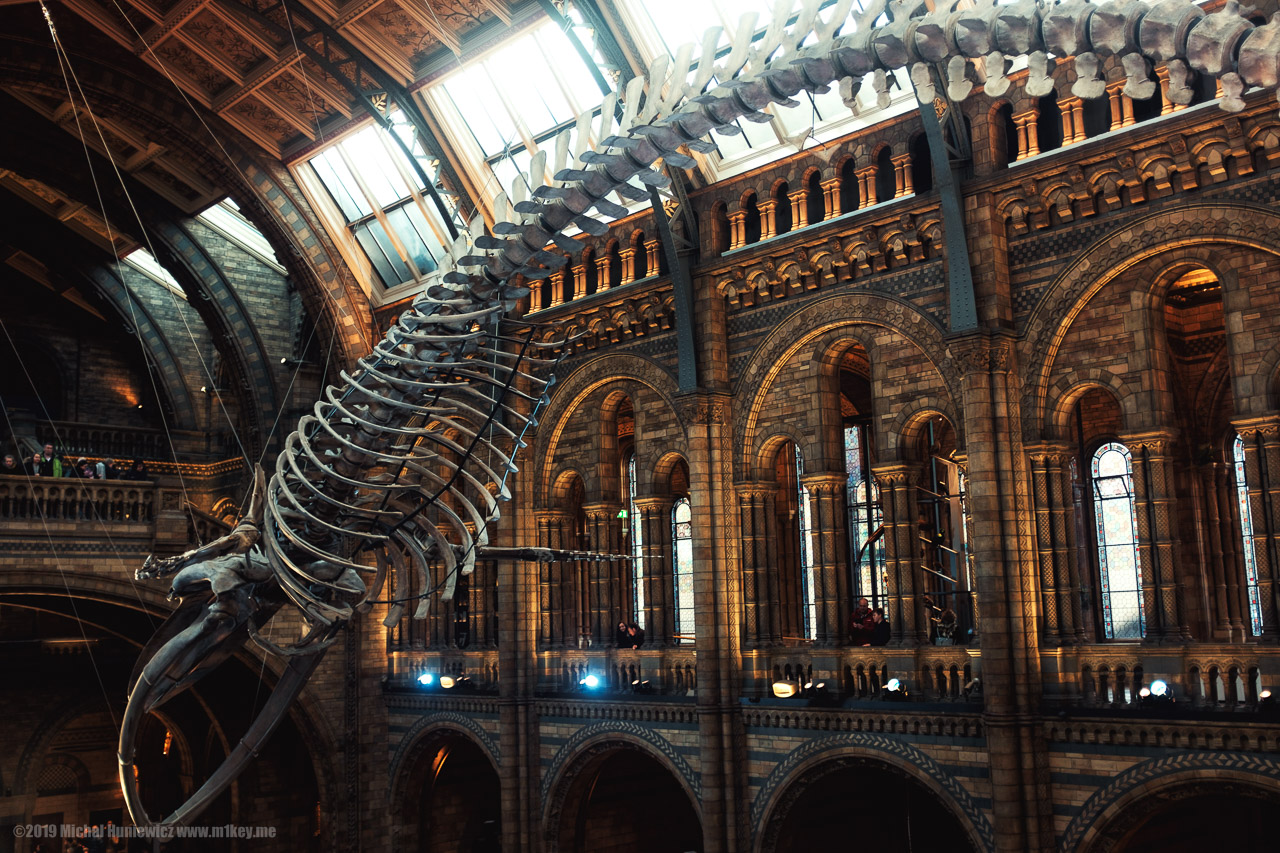 Natural History Museum