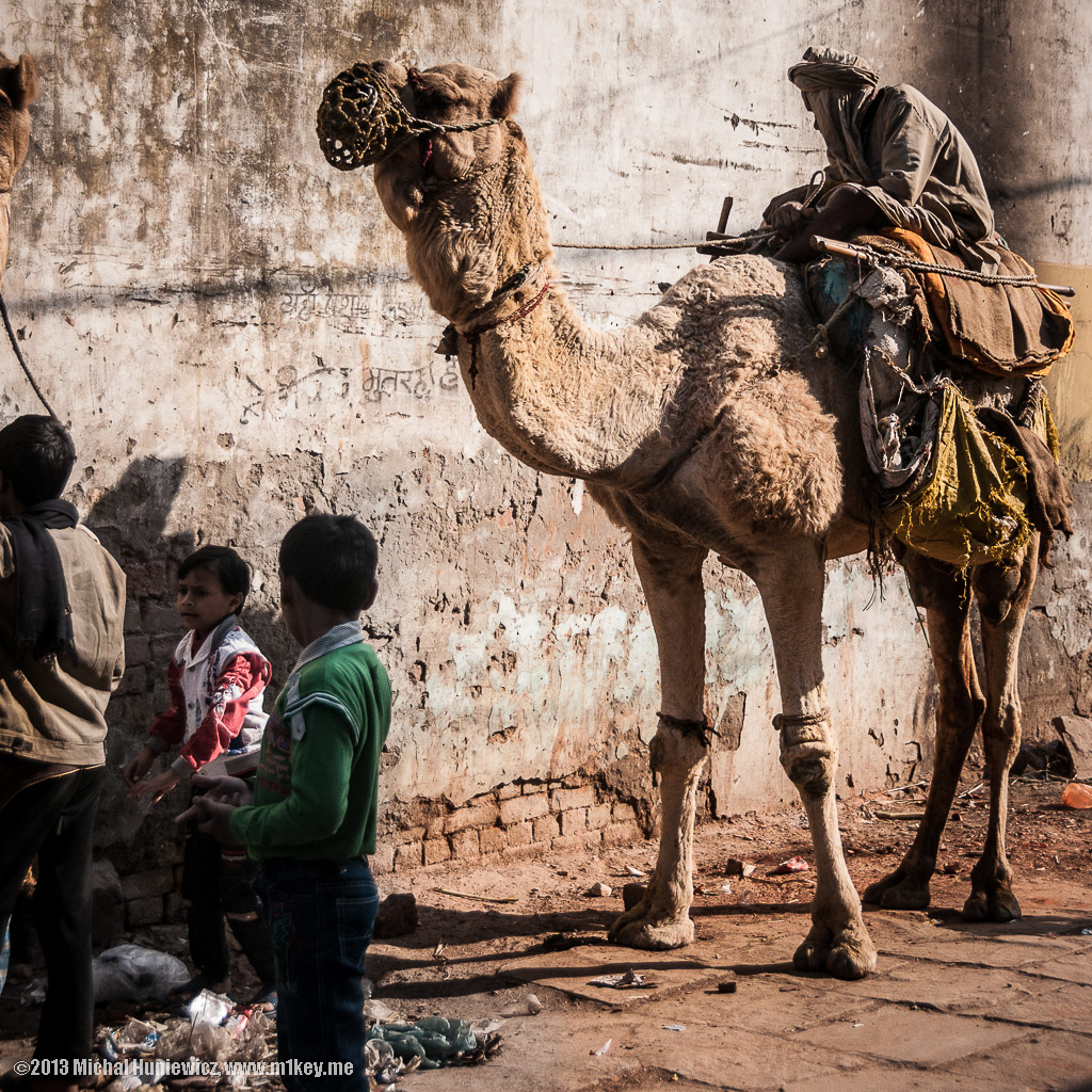 May the fleas of a thousand camels...