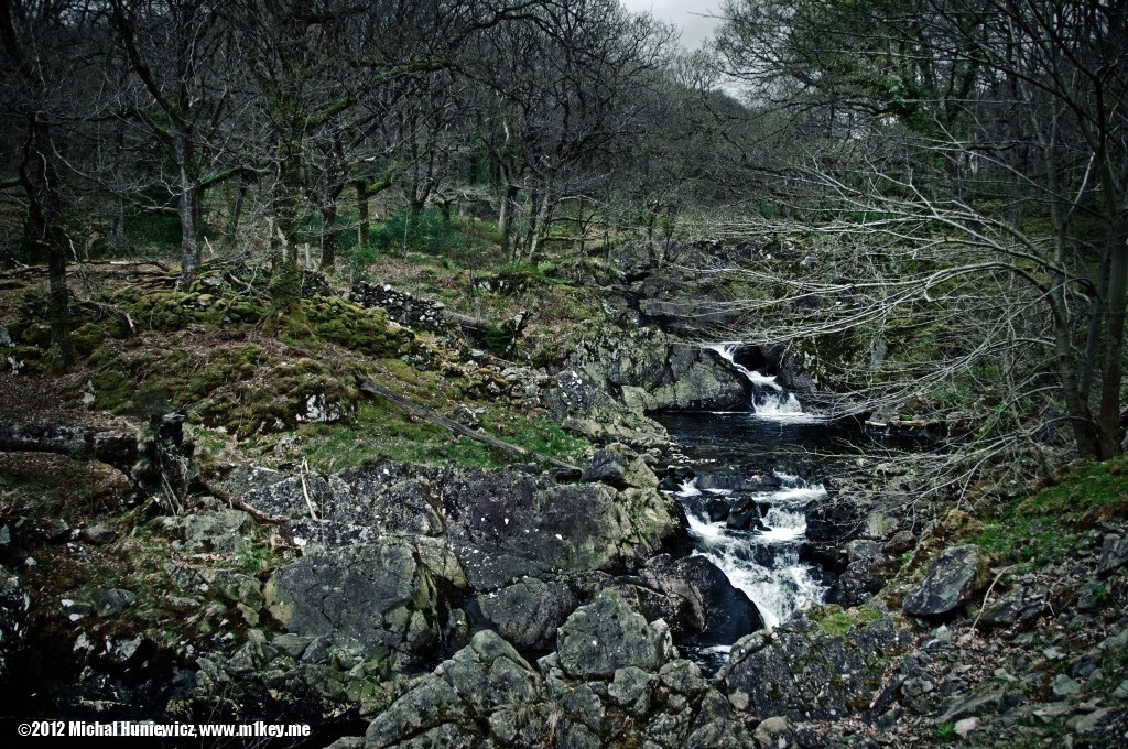 River Gamlan - Wales