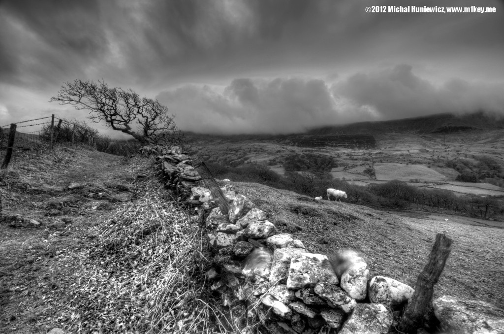 Single mother - Wales