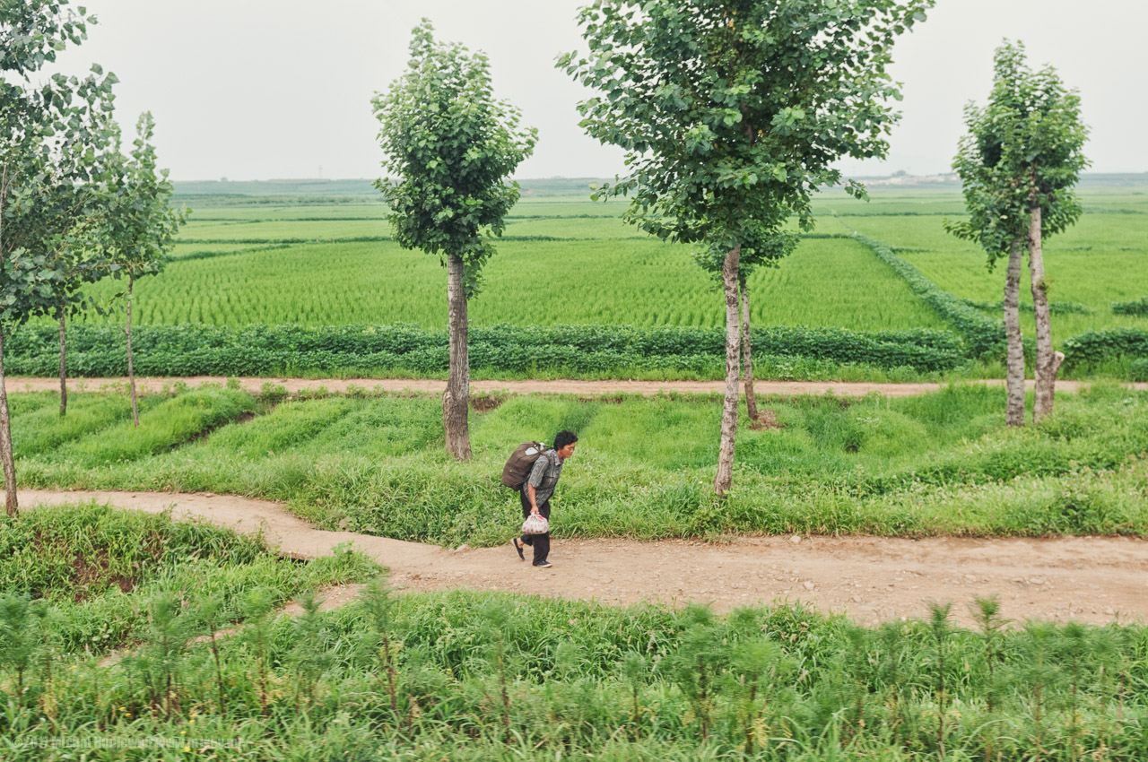 Walking Between Cities